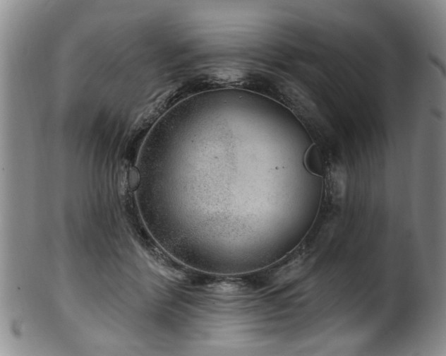 X0000100360412200806061143