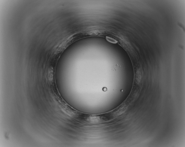 X0000100360413200806061143