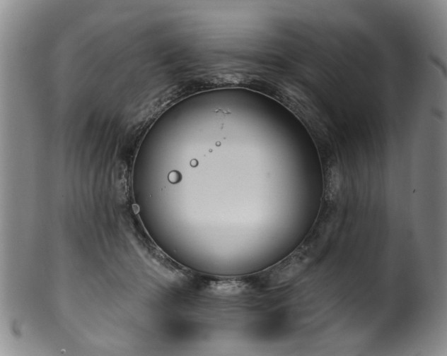 X0000100360414200806061143