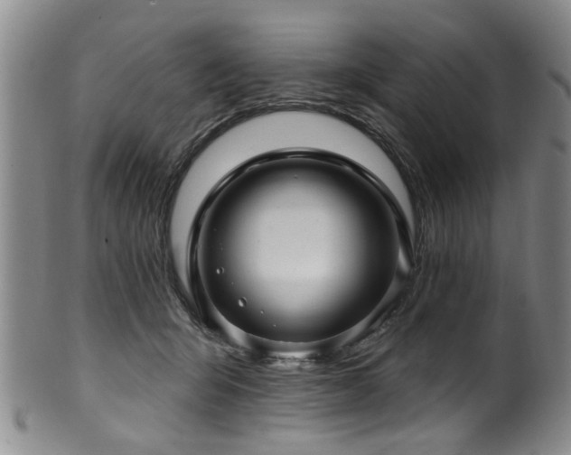 X0000100360415200806061143