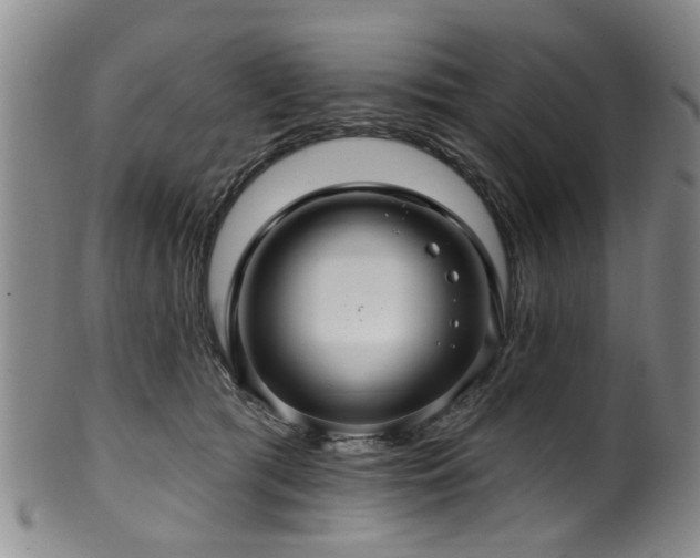 X0000100360417200806061143