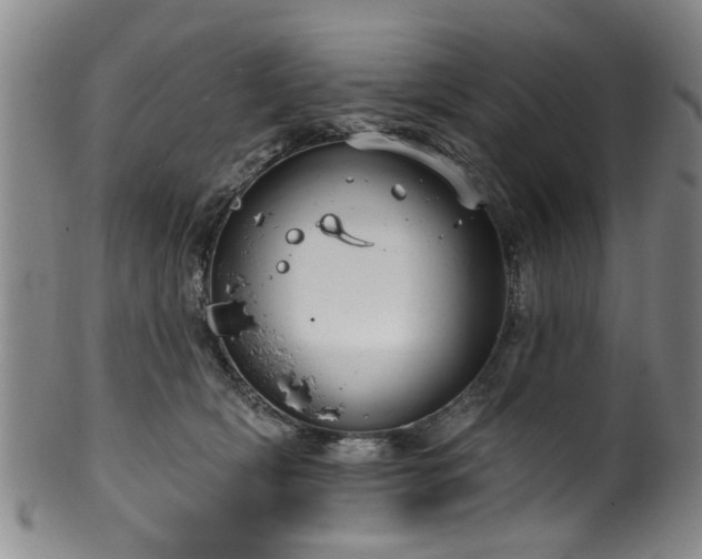 X0000100360418200806061143