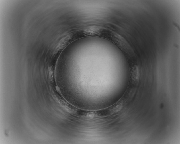 X0000100360420200806061143