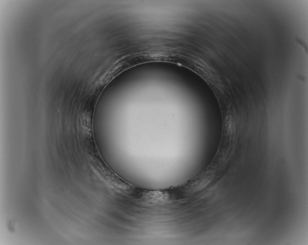 X0000100360421200806061143