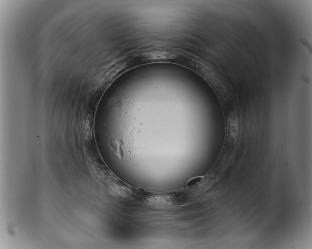 X0000100360422200806061143