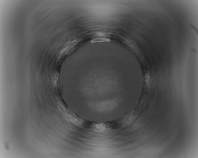 X0000100360423200806061143