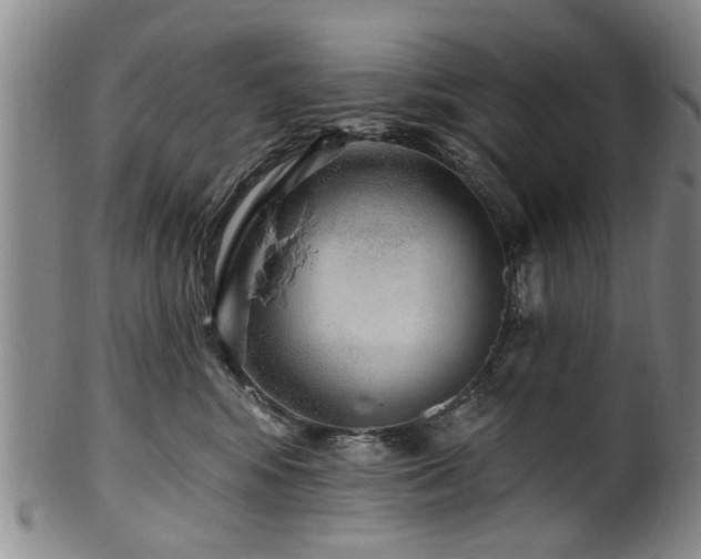 X0000100360424200806061143