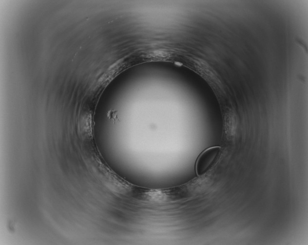 X0000100360425200806061143