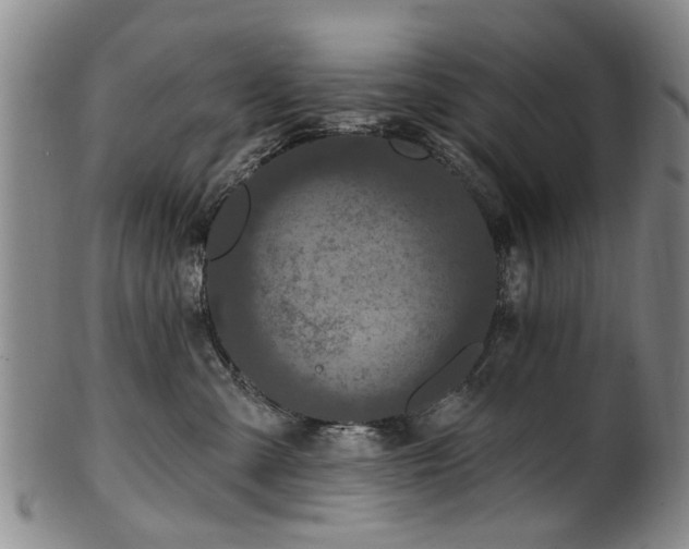 X0000100360427200806061143