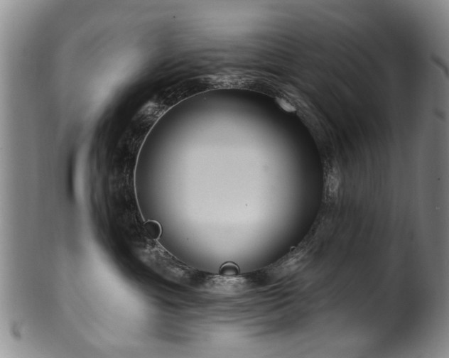 X0000100360429200806061143