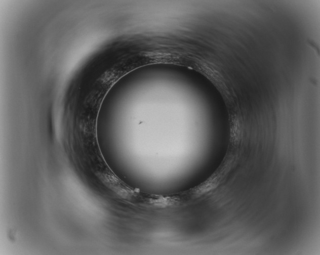 X0000100360430200806061143