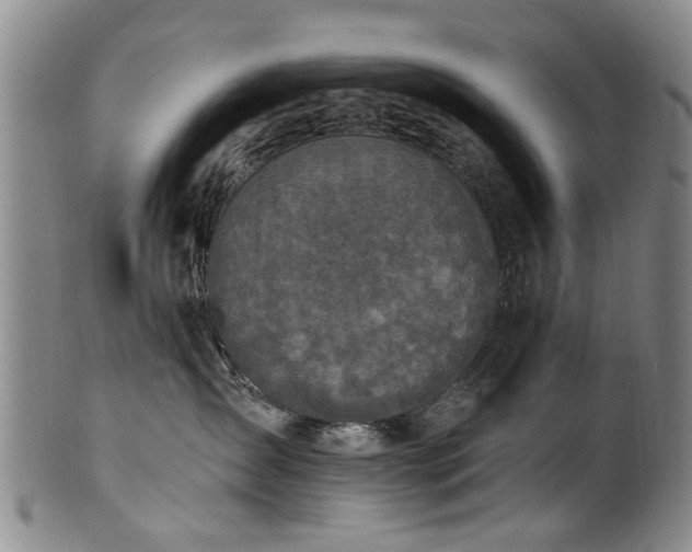 X0000100360431200806061143