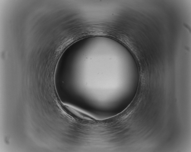 X0000100360433200806061142