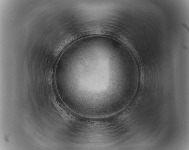 X0000100360434200806061142