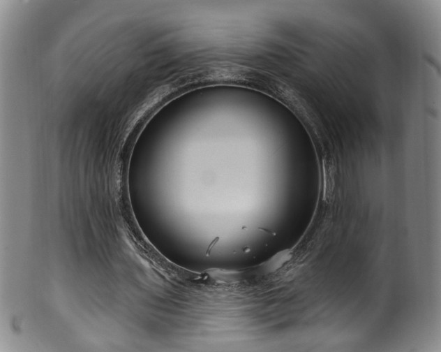 X0000100360435200806061142