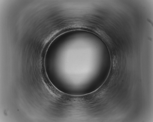 X0000100360436200806061142