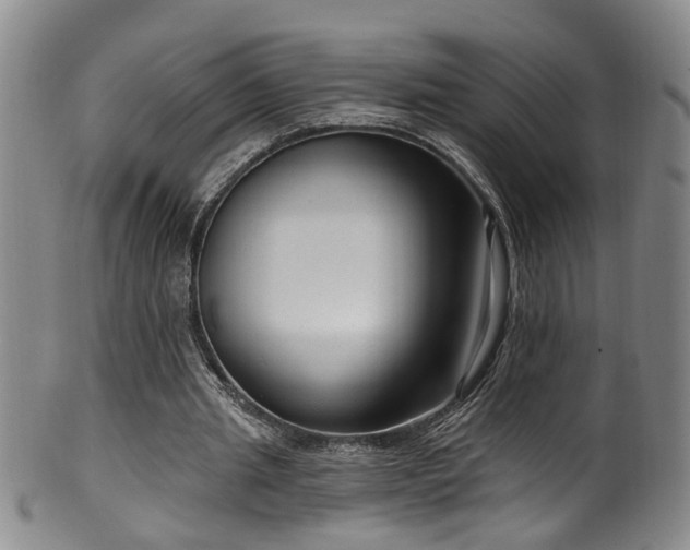 X0000100360437200806061142