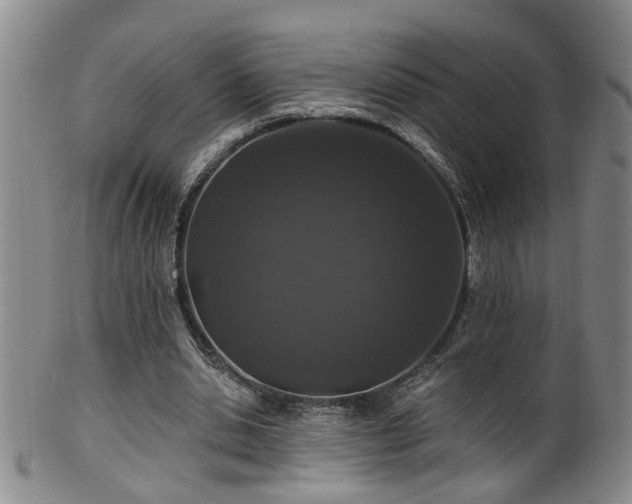 X0000100360438200806061142