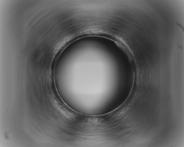 X0000100360439200806061142