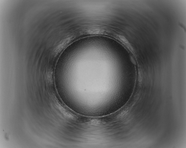 X0000100360441200806061142