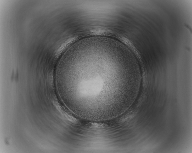 X0000100360442200806061142