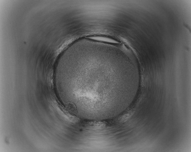 X0000100360443200806061142