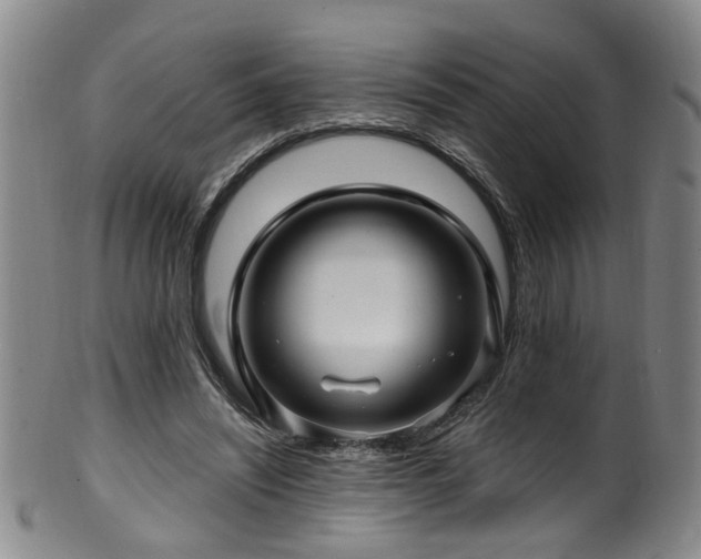 X0000100360444200806061142