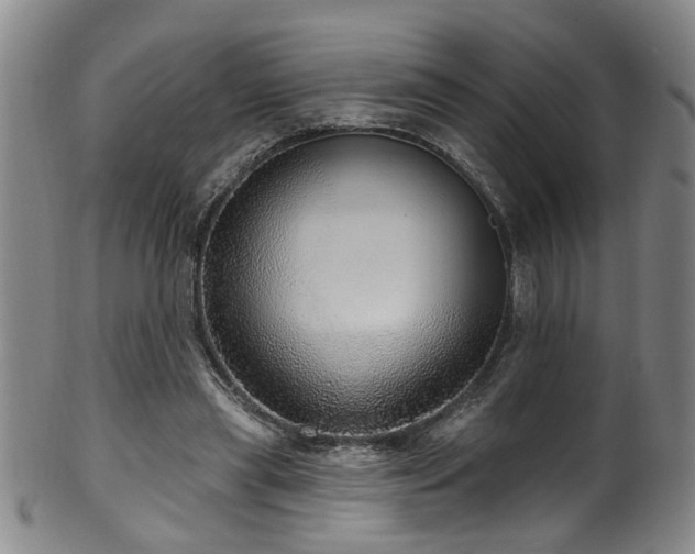 X0000100360445200806061142