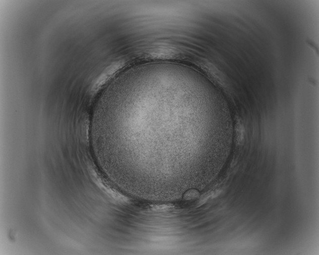 X0000100360446200806061142