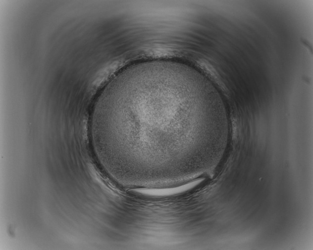 X0000100360447200806061142