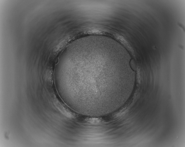 X0000100360449200806061142