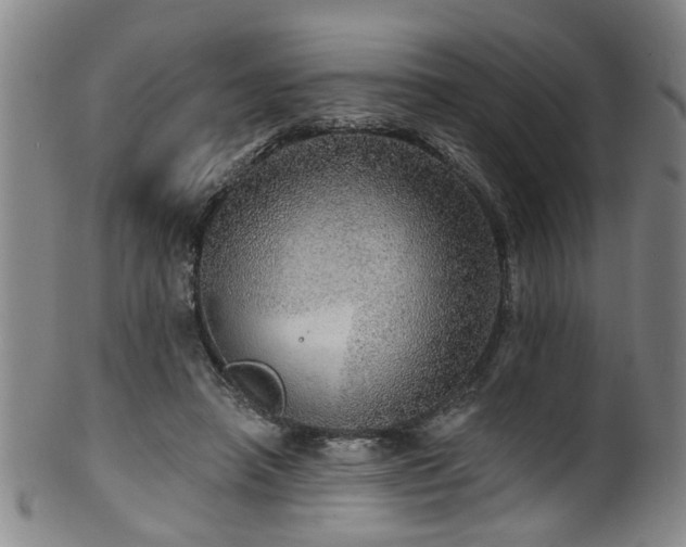 X0000100360450200806061142