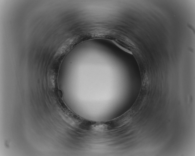 X0000100360452200806061142