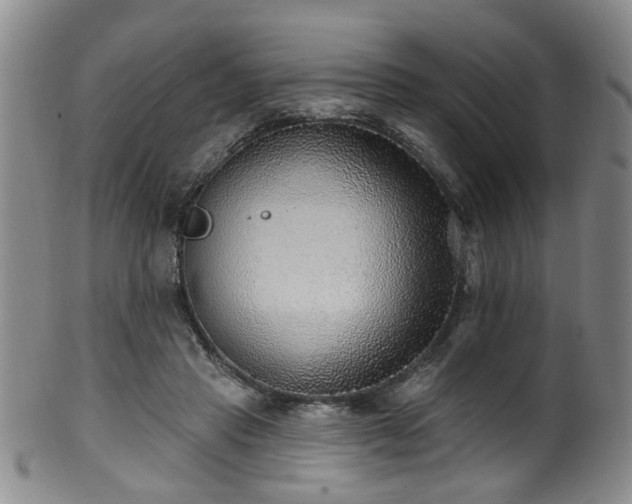 X0000100360453200806061142