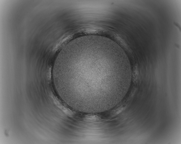 X0000100360454200806061142