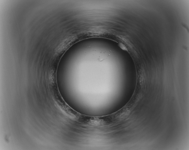 X0000100360455200806061142