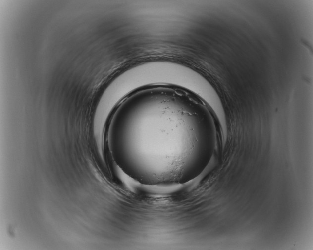 X0000100360456200806061142