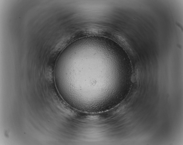 X0000100360457200806061142