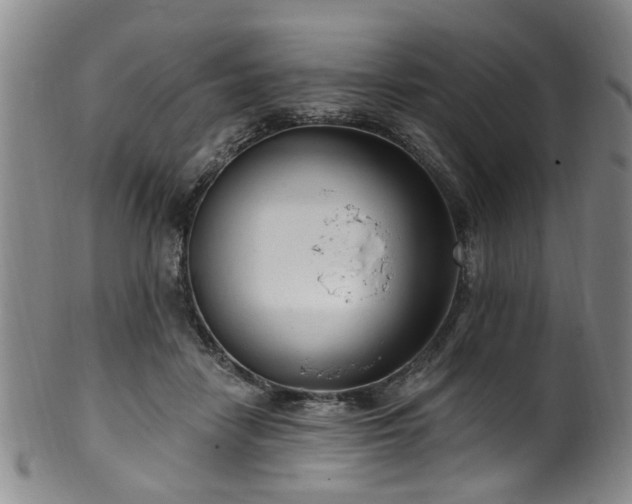 X0000100360458200806061142