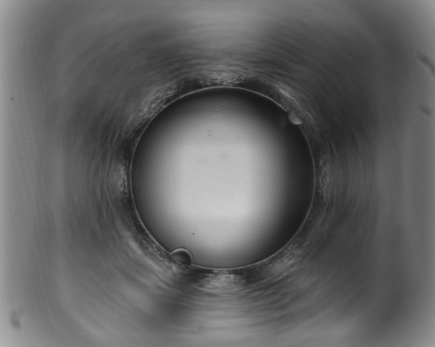 X0000100360459200806061142