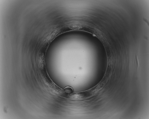 X0000100360460200806061142