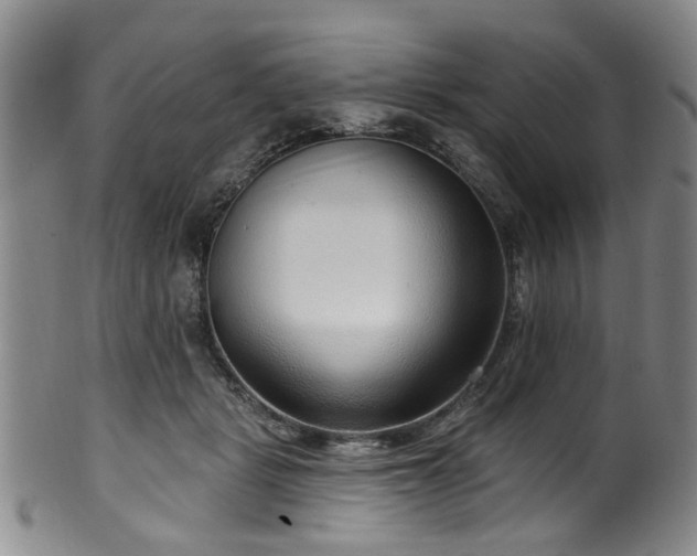 X0000100360461200806061142