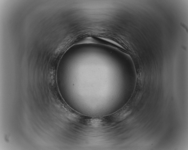 X0000100360462200806061142