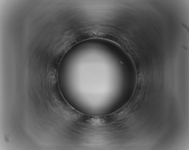 X0000100360464200806061142