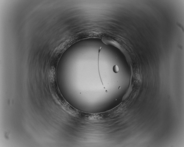 X0000100360468200806061142