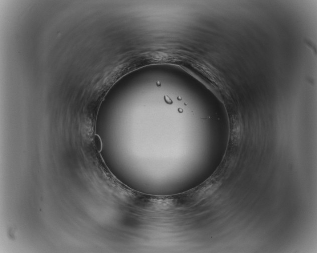 X0000100360469200806061142