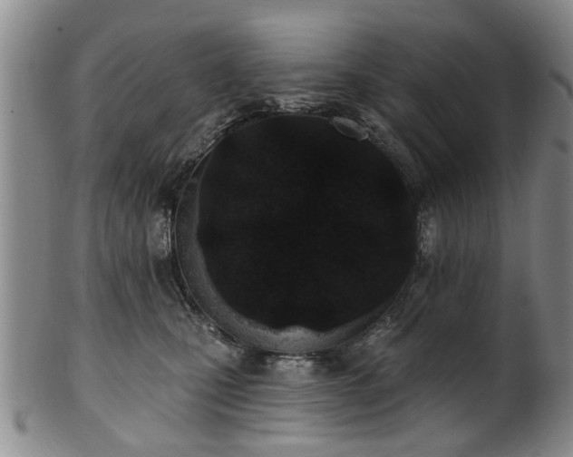 X0000100360471200806061143