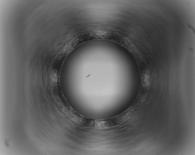 X0000100360472200806061143