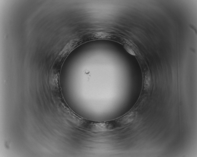 X0000100360473200806061143