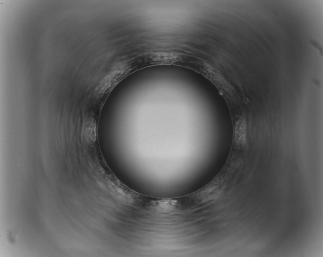 X0000100360474200806061143